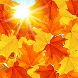 WarmFall